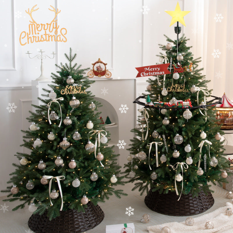 Real Christmas Tree including Accessories