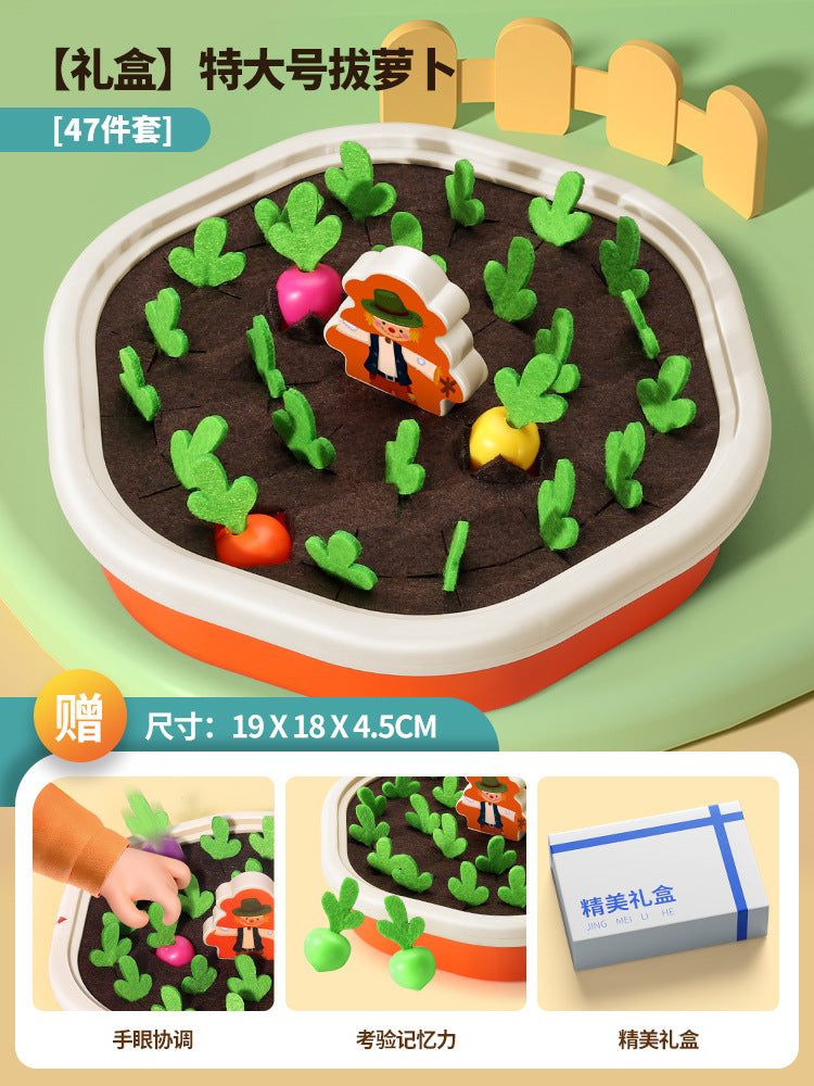 Educational Carrot Toys