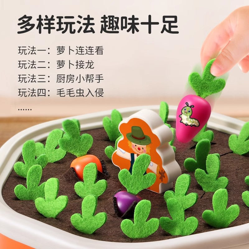 Educational Carrot Toys, play guide