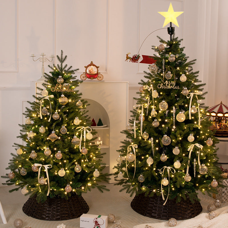 Real Christmas Tree including Accessories