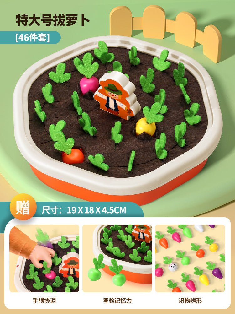 Educational Carrot Toys